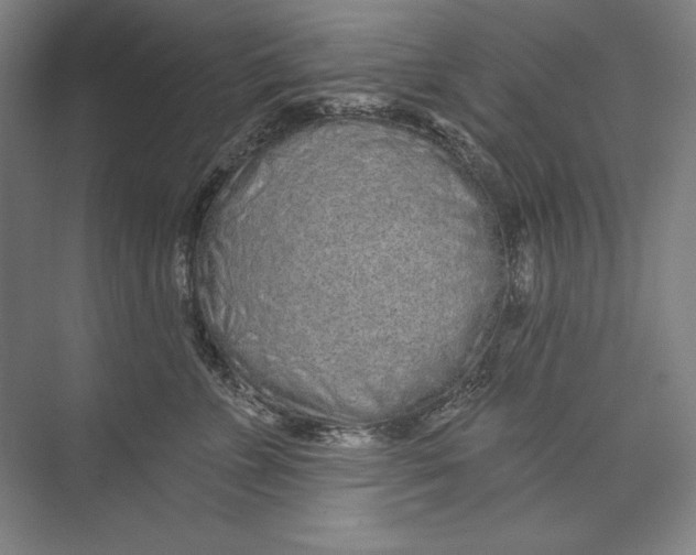 X0000074280715200609222243