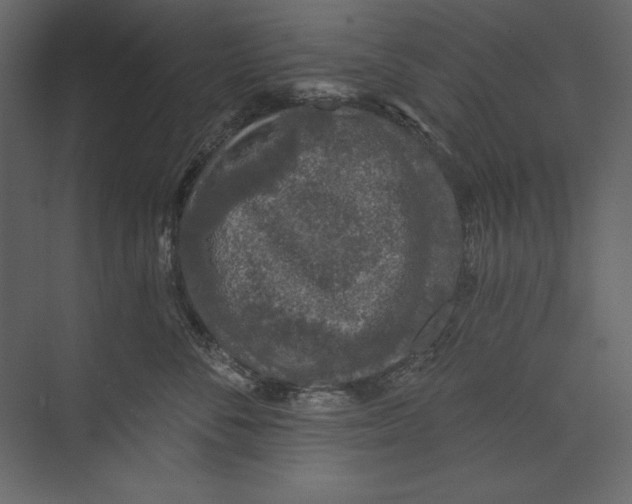 X0000074280716200609222243