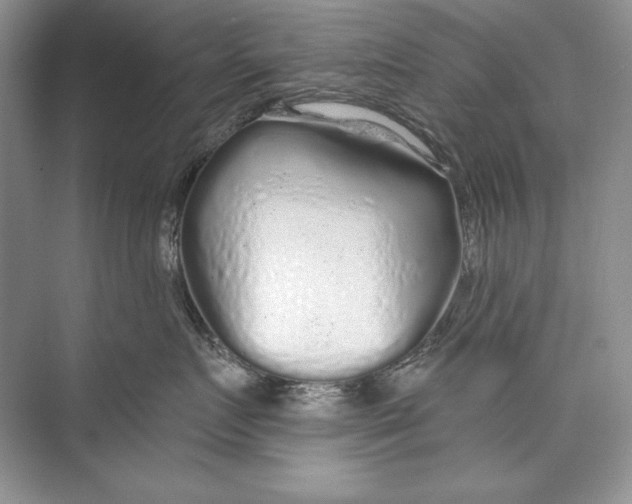 X0000074280719200609222243