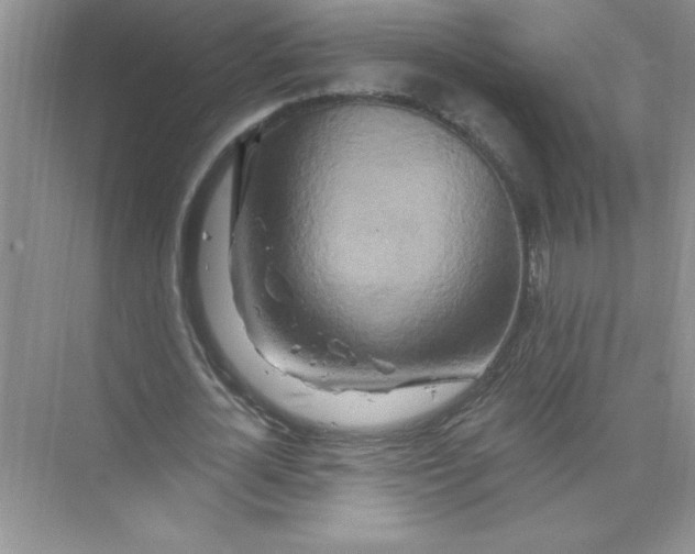 X0000074280724200609222242