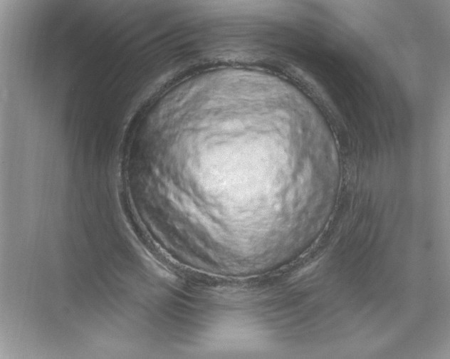 X0000074280725200609222242