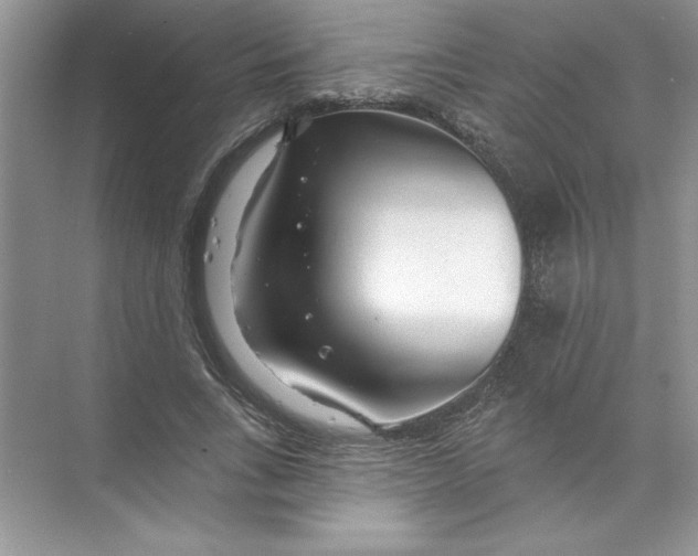 X0000074280735200609222242