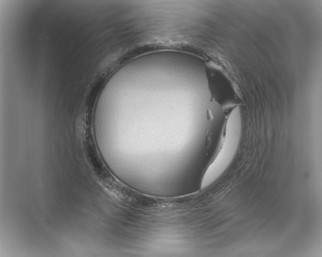 X0000074280736200609222243