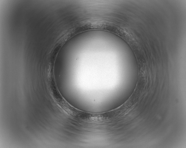 X0000074280744200609222243