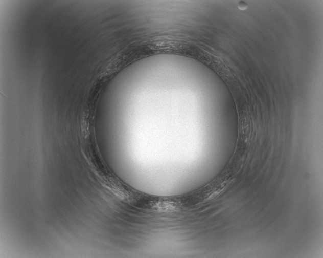 X0000074280751200609222243