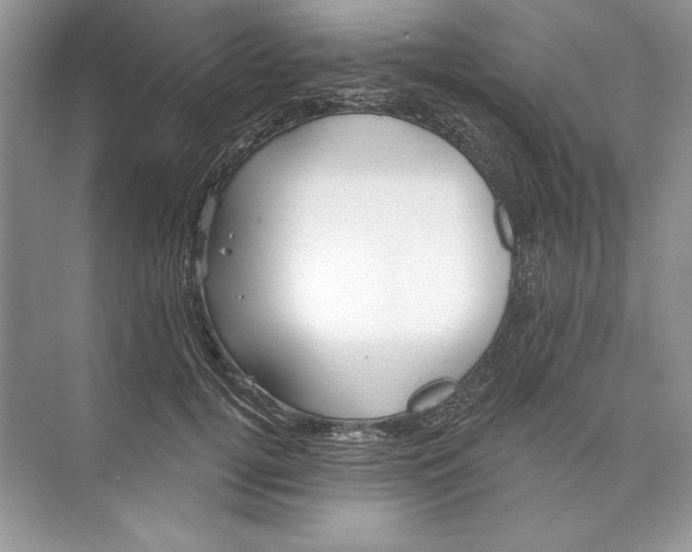 X0000074280752200609222243
