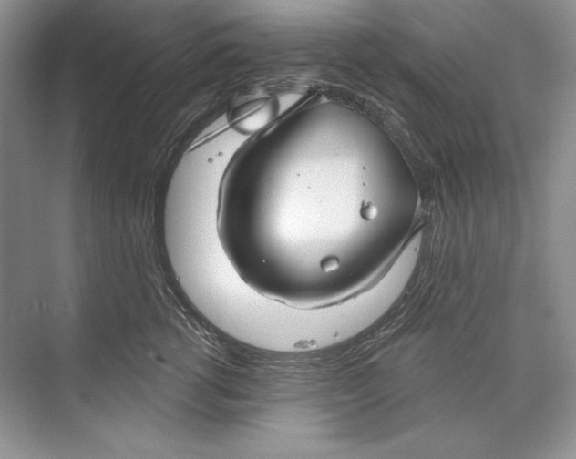 X0000074280762200609222243