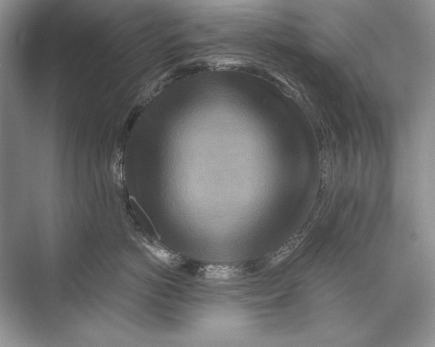 X0000074280766200609222243
