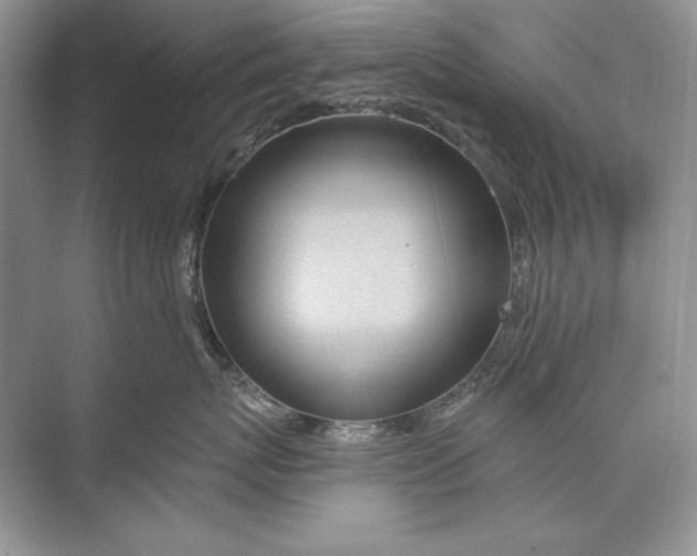X0000074280767200609222243