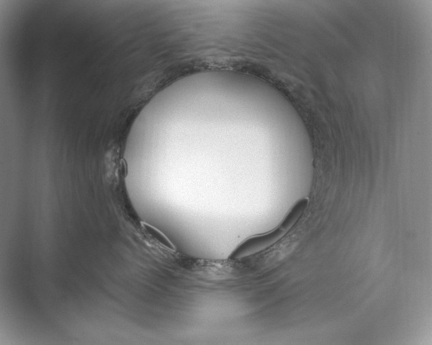 X0000074280768200609222243