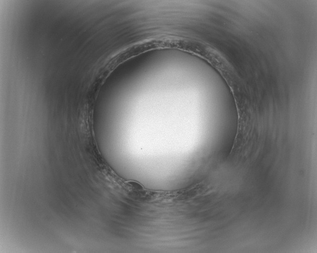 X0000074280773200609222242