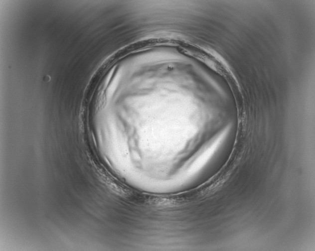 X0000074280783200609222242
