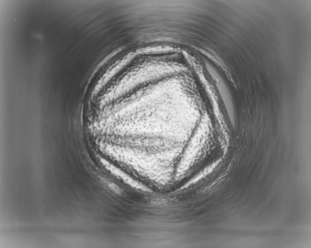 X0000074280790200609222242