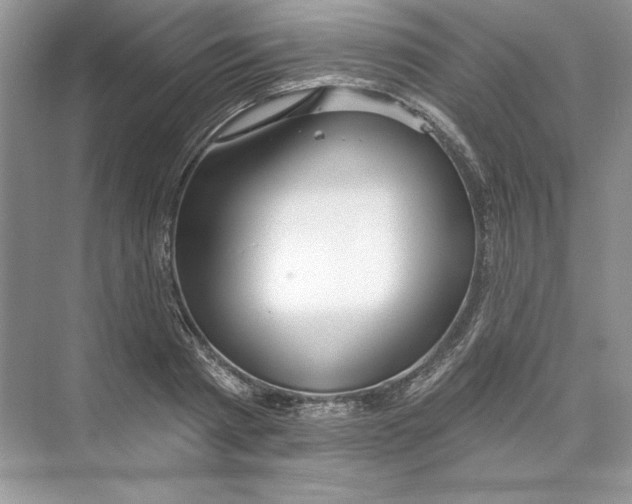 X0000074280793200609222242