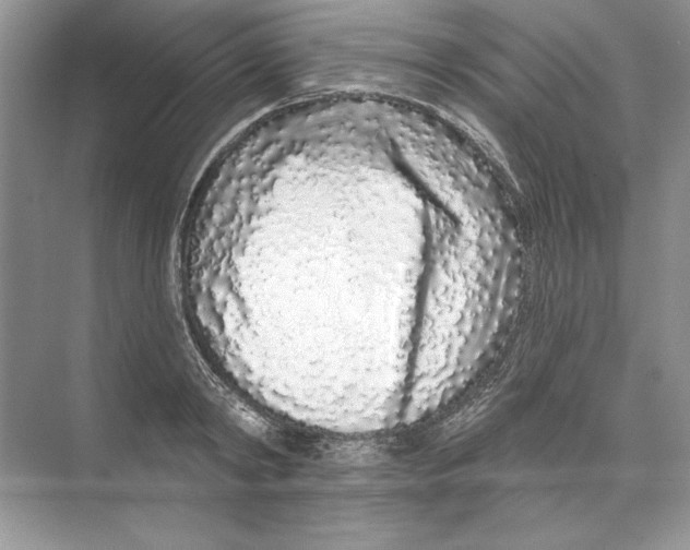 X0000074280798200609222242
