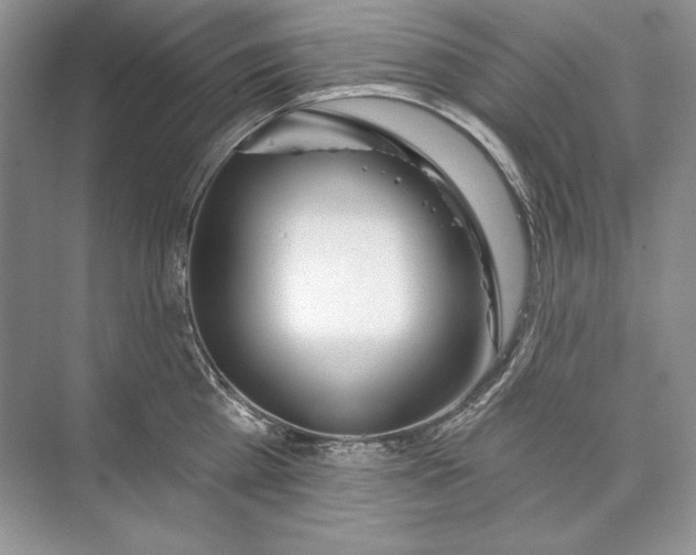 X0000074280809200609222242