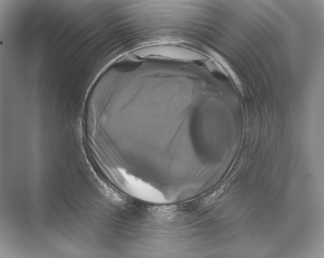 X0000074280810200609222242
