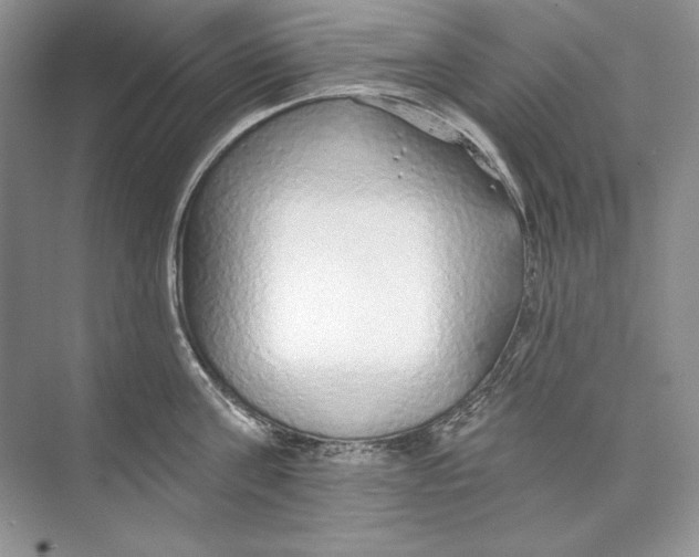 X0000074280811200609222242