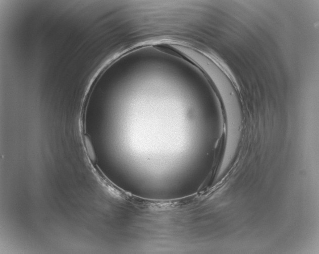 X0000074280813200609222242