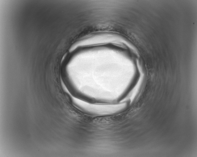 X0000074280817200609222241