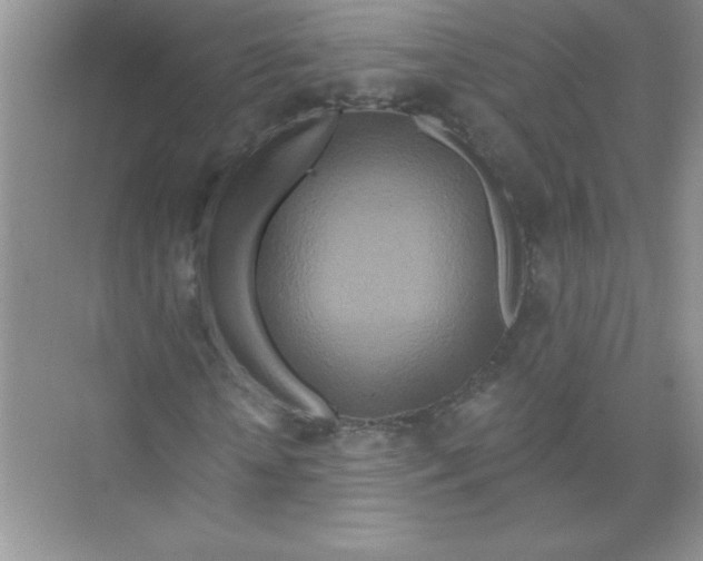 X0000074280818200609222241