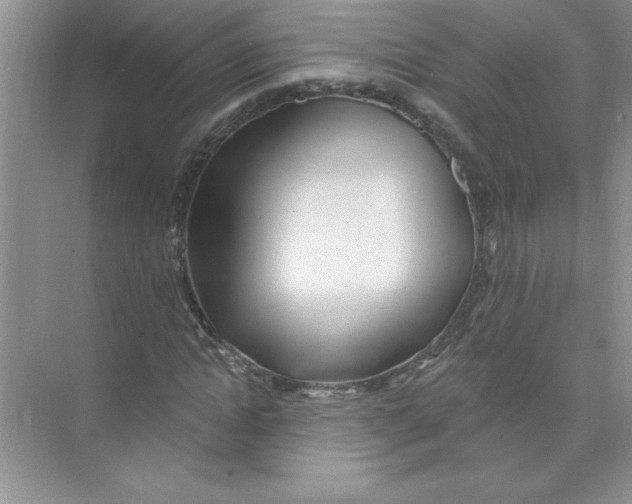X0000074280822200609222241