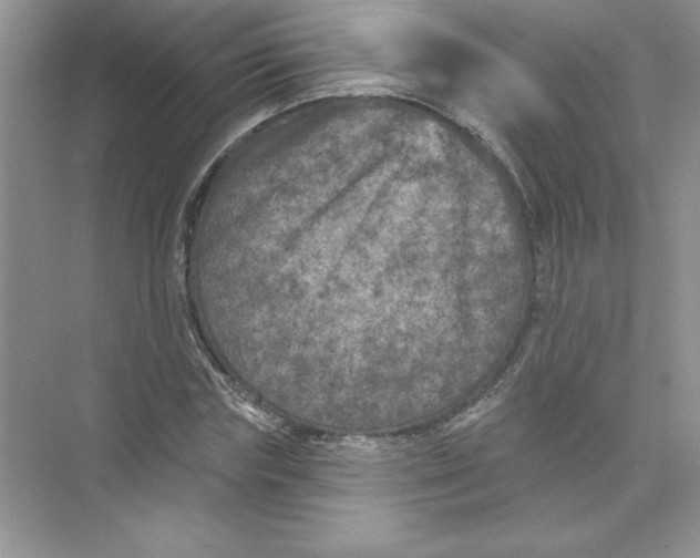 X0000074280827200609222241
