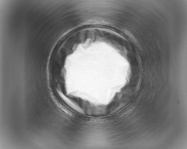 X0000074280840200609222241