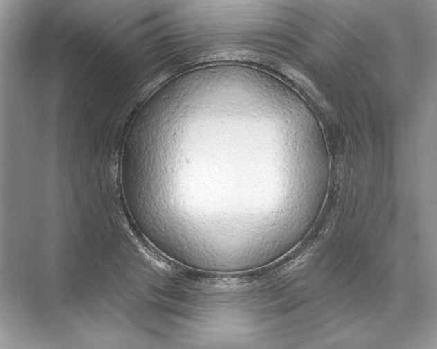X0000074280841200609222241