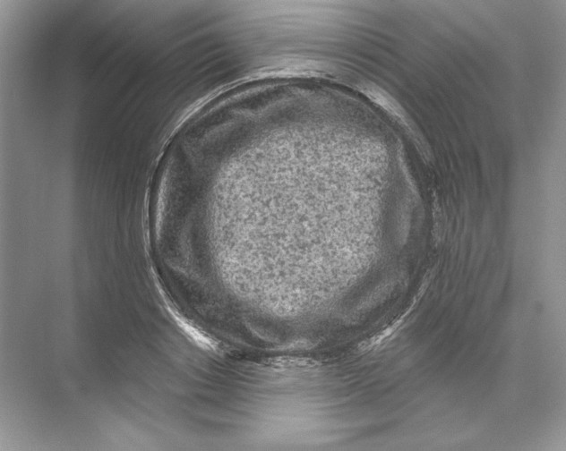 X0000074280842200609222241