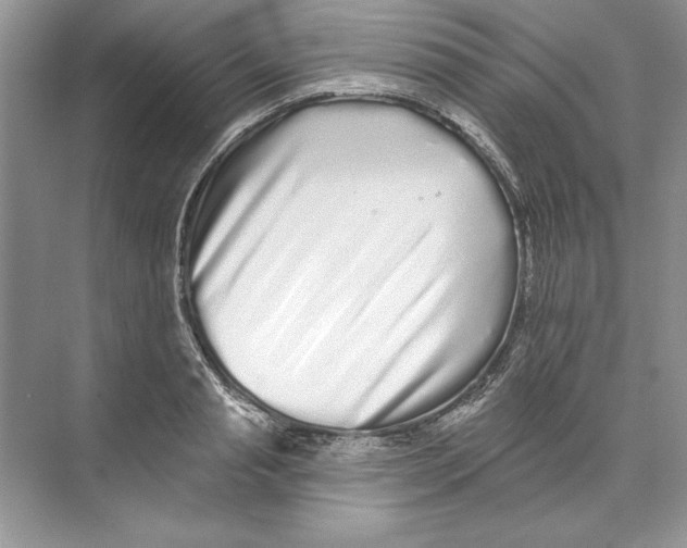 X0000074280845200609222241