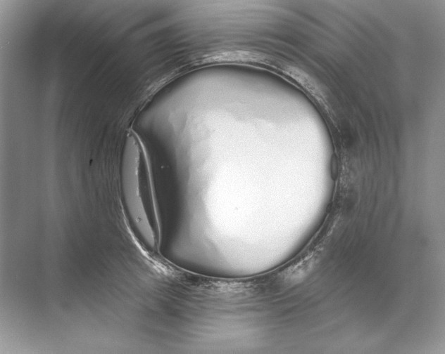 X0000074280849200609222241