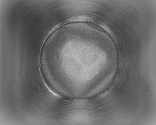 X0000074280850200609222241