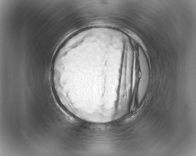 X0000074280855200609222241