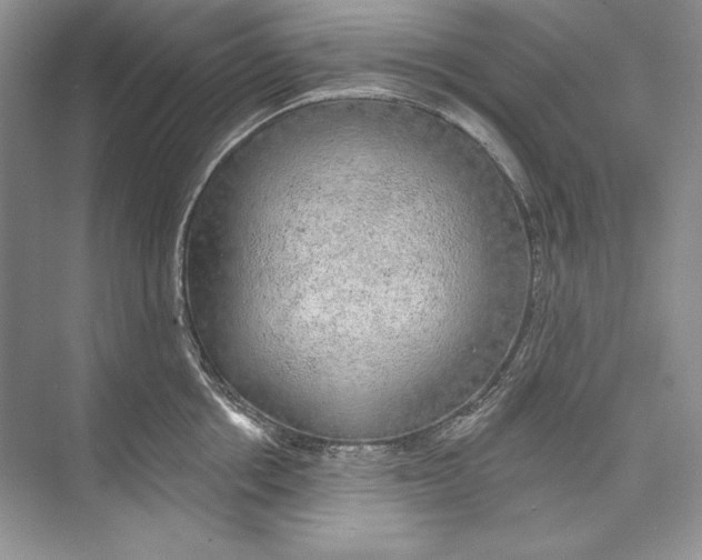 X0000074280858200609222241