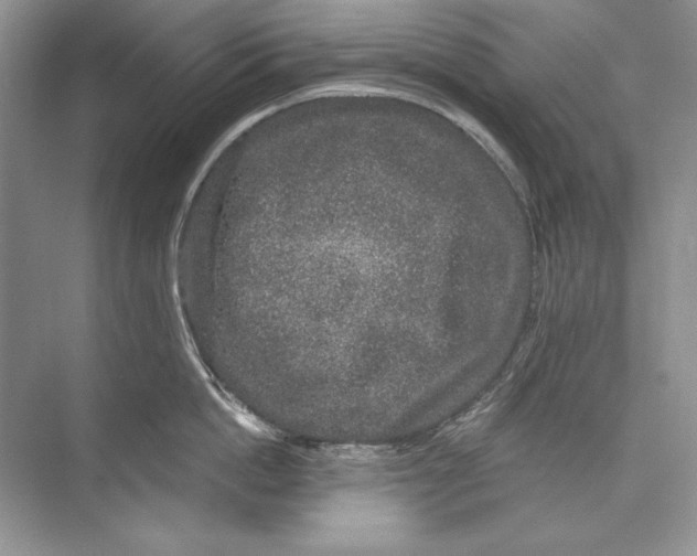 X0000074280862200609222241