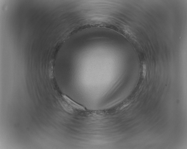 X0000074280868200609222241