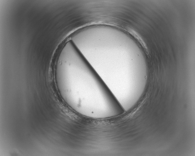 X0000074280876200609222240