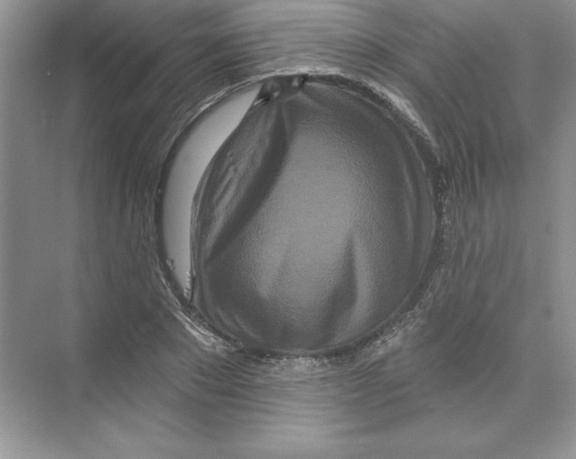 X0000074280881200609222240