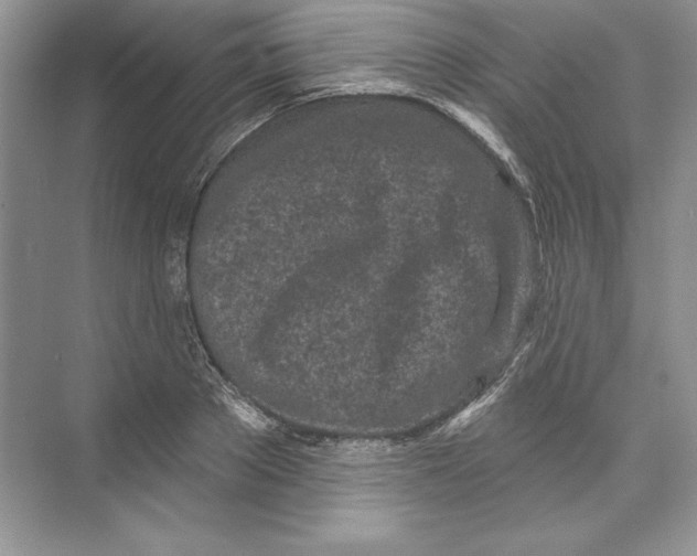 X0000074280889200609222240