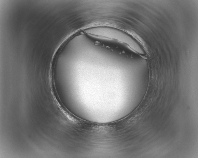 X0000074280894200609222240