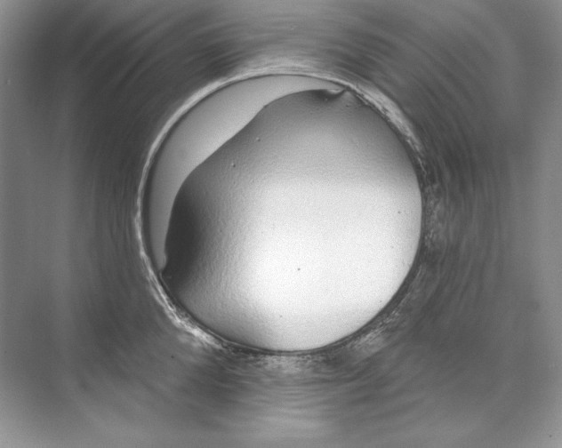 X0000074280904200609222240
