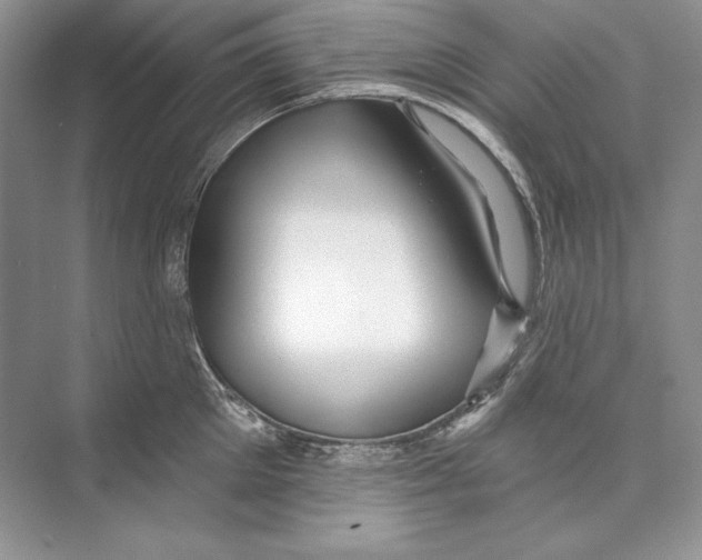 X0000074280905200609222240