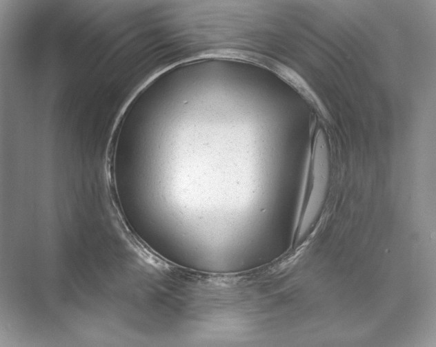 X0000074280908200609222240