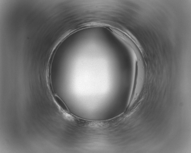 X0000074280909200609222240