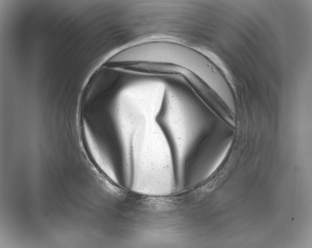 X0000074280910200609222240