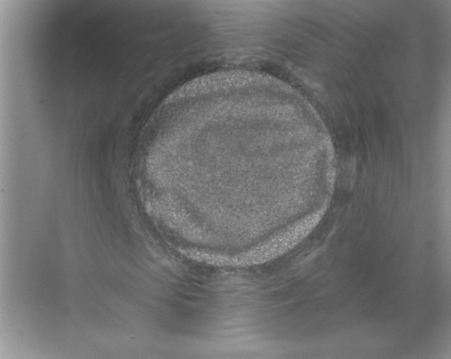 X0000074280913200609222239