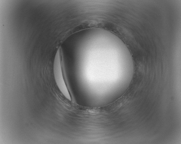 X0000074280914200609222239