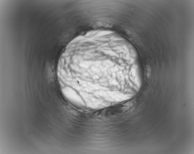 X0000074280915200609222239