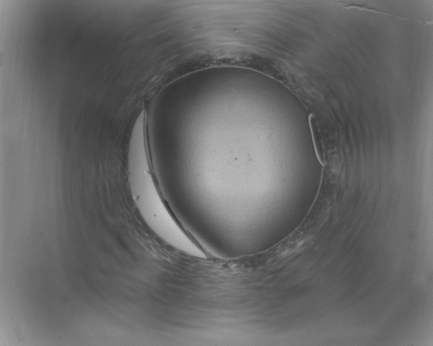 X0000074280916200609222239